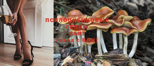кокаин перу Аркадак