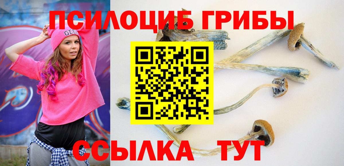 Курган  Галлюциногенные грибы мицелий  Вход с VPN 