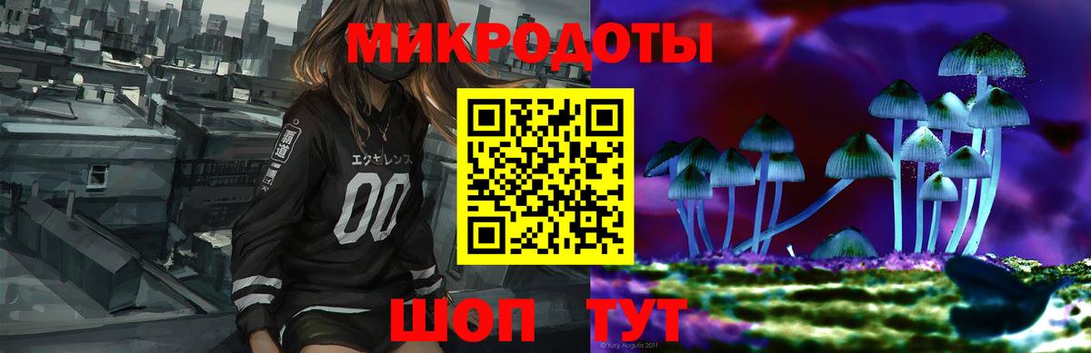 Галлюциногенные грибы Cubensis Курган